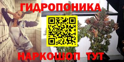МДПВ Пушкино
