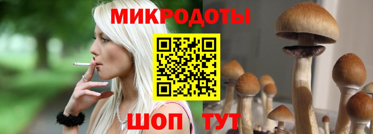 Салават  Псилоцибиновые грибы Magic Shrooms  Вход с VPN 